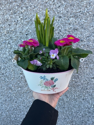 Blooms and Bulbs Planter