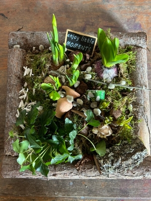 Garden planted arrangement