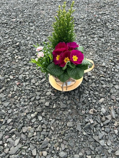 Planted teacup