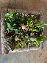 Garden planted arrangement