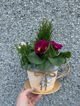 Planted teacup