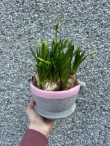 Tere a tete ceramic planter